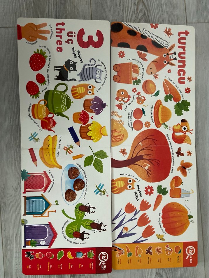 YÜKSELEN ZEKA GİZLİ NESNELER - Görsel 3