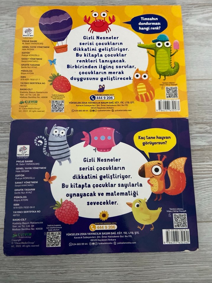 YÜKSELEN ZEKA GİZLİ NESNELER - Görsel 2