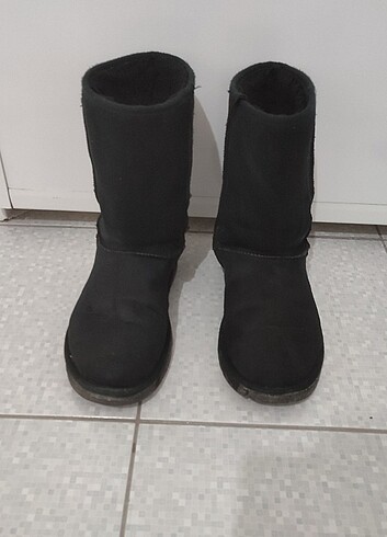 Siyah içi yünlü bot 