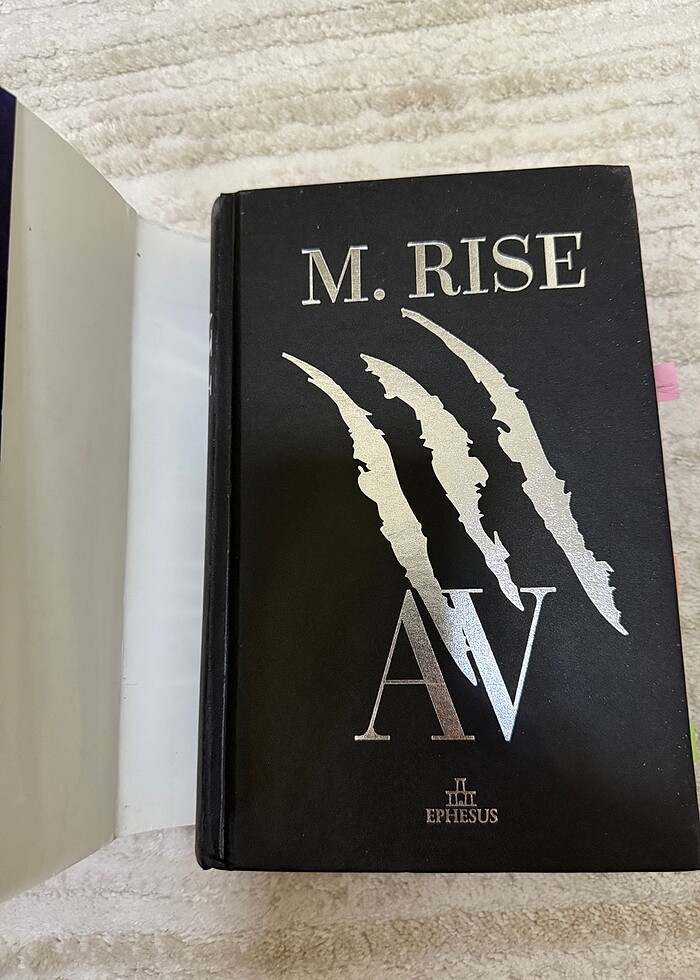 AV M. Rıse kitap - Görsel 2