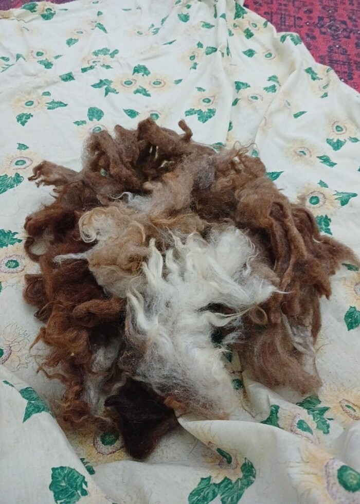 Yunden kedi yatağı ve yorganı yapilir yapilir  - Görsel 2