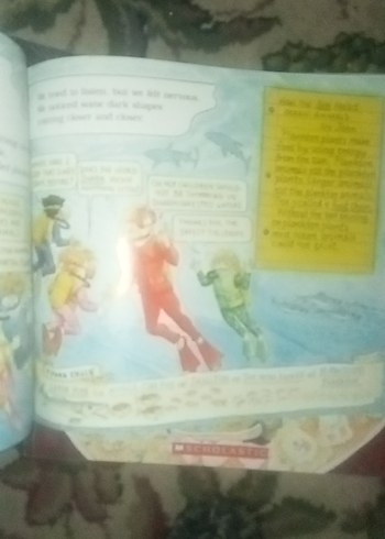 The Magic School Bus Çocuk Kitapları Seti - Görsel 5