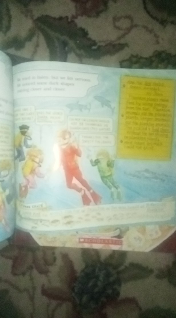 The Magic School Bus Çocuk Kitapları Seti - Görsel 5