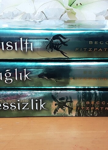  Fısıltı(Hush hush) serisi 3 kitap