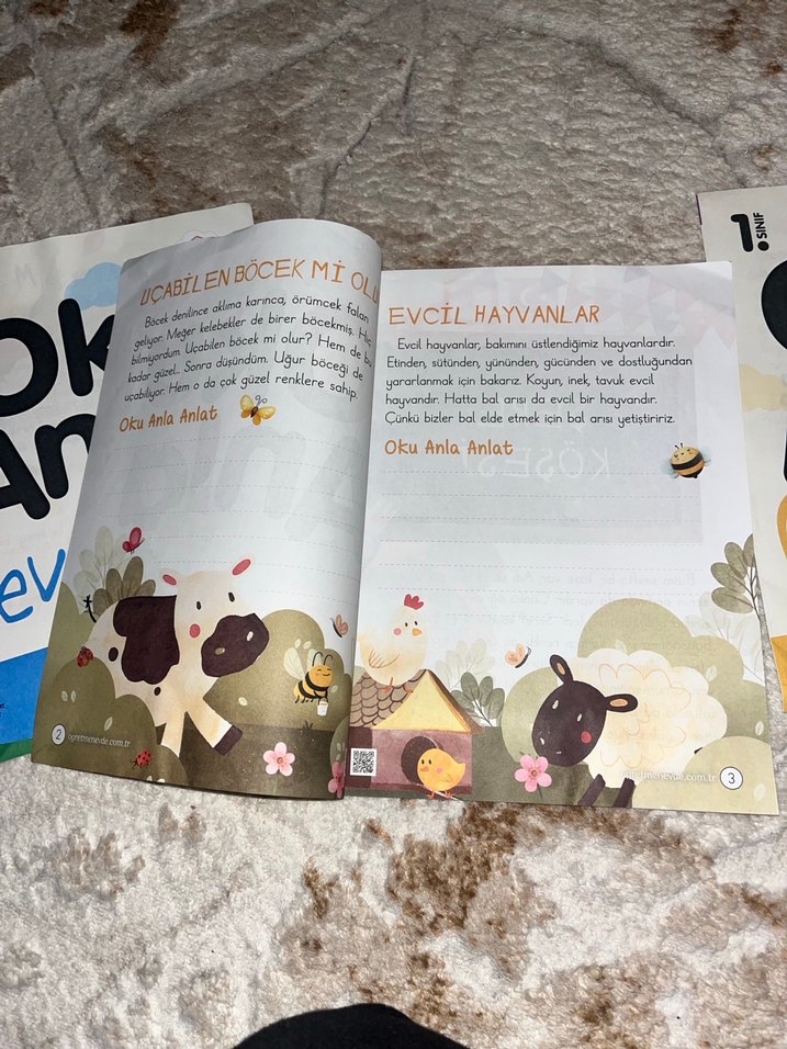 Anla Oku Çocuk Kitapları Seti - Görsel 4