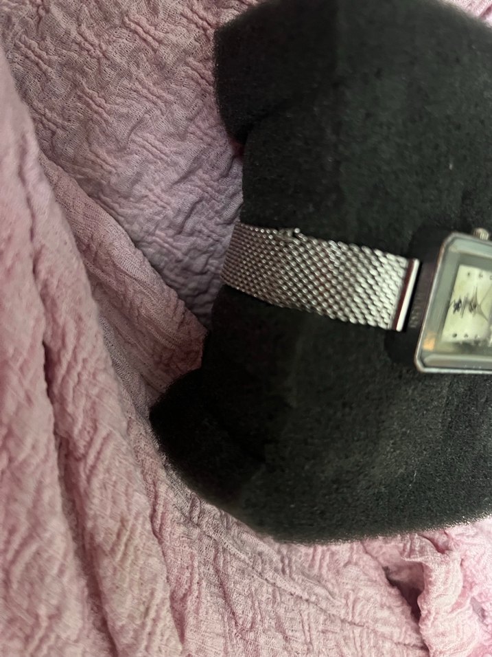 Klasik Zarif Kadın Gümüş Renkli polo Saat - Görsel 2