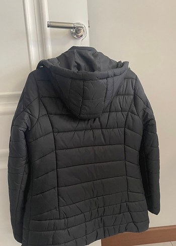 U.S Polo Assn. Polo kadın mont