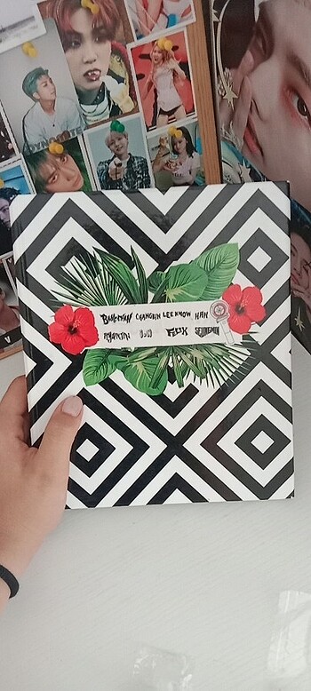 Skz temalı 4 lu binder