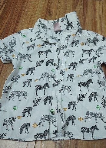 Erkek Çocuk Renkli Zebra Desenli Kısa Kollu Gömlek