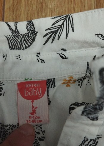 Koton Erkek Çocuk Renkli Zebra Desenli Kısa Kollu Gömlek