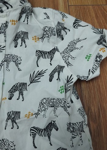9-12 Ay Beden Erkek Çocuk Renkli Zebra Desenli Kısa Kollu Gömlek