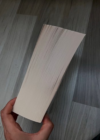 Anna Karenina - L.N. Tolstoy - Görsel 2