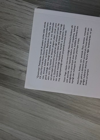 Notre-Dame'ın Kamburu - Victor Hugo - Görsel 3