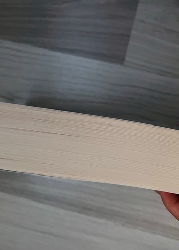 Notre-Dame'ın Kamburu - Victor Hugo - Görsel 2