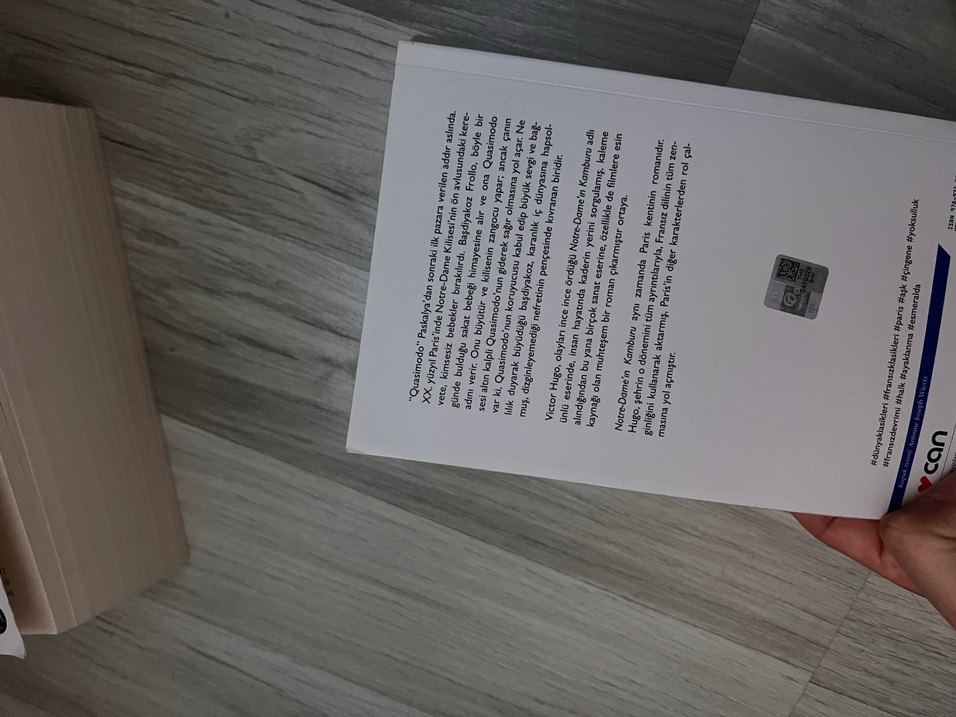 Notre-Dame'ın Kamburu - Victor Hugo - Görsel 3