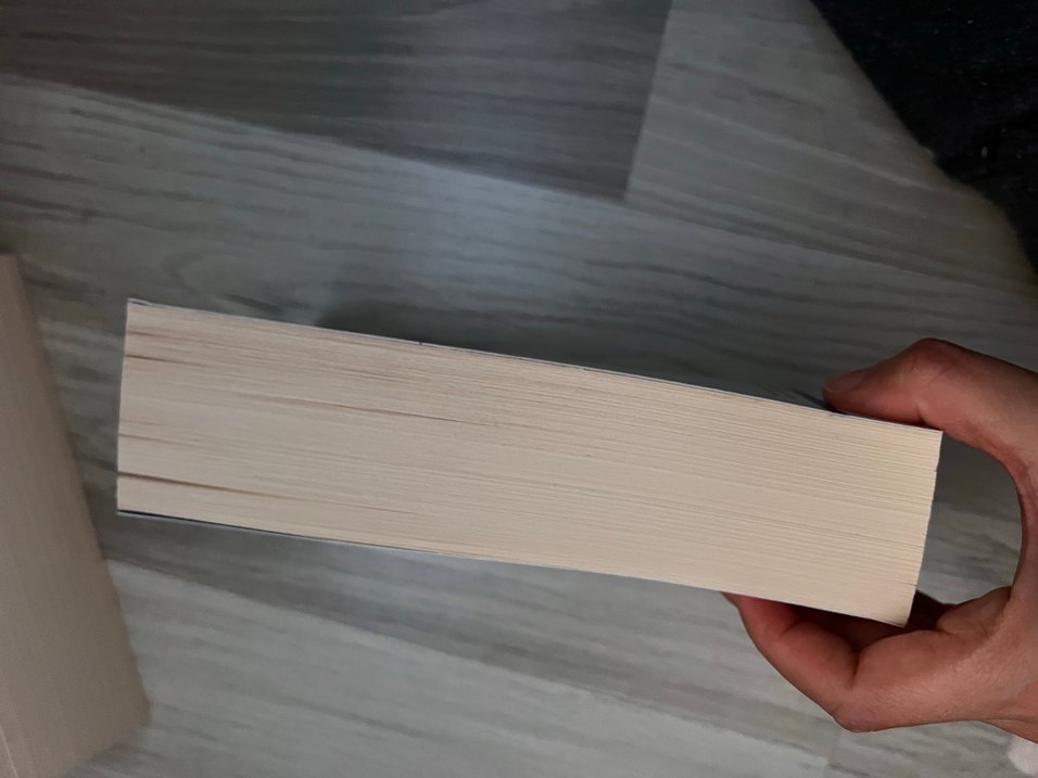 Notre-Dame'ın Kamburu - Victor Hugo - Görsel 2