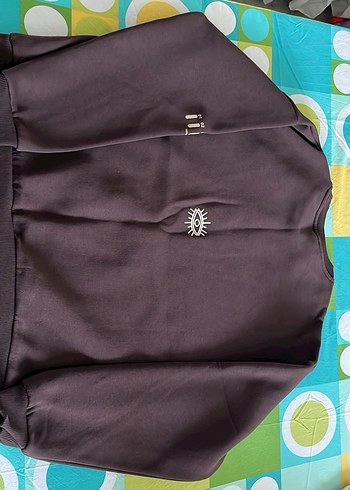 Kahverengi Chicago University Baskılı Sweatshirt - Görsel 2