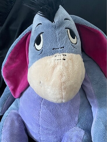 Disney eşek