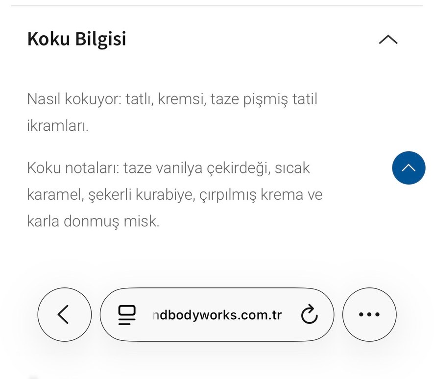 Vanilla Bean Noel Vucut Spreyi - Görsel 3
