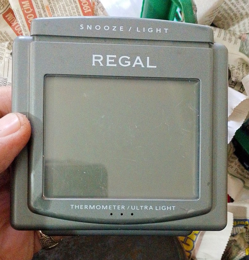 Regal Gri Termometreli Ultrahafif Monitör - Görsel 3