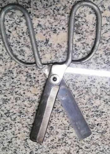 dönem ürünü koleksiyonluk kalın etli malzemeden şekerçi makası - Görsel 3