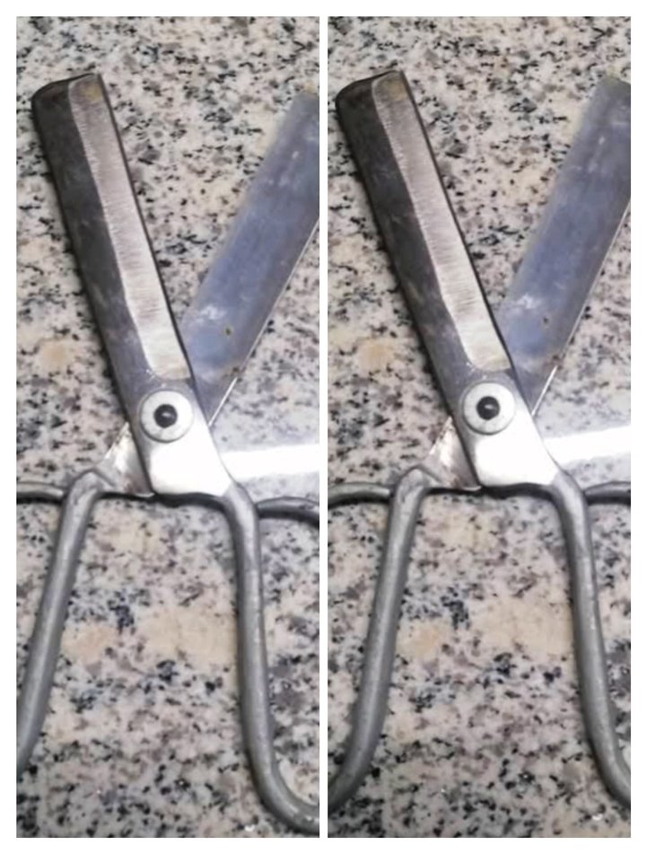 dönem ürünü koleksiyonluk kalın etli malzemeden şekerçi makası - Görsel 4