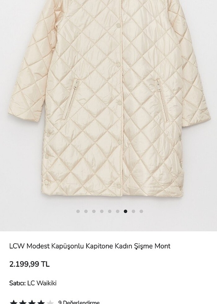 Kapüşonlu Kapitone Mont - Görsel 4