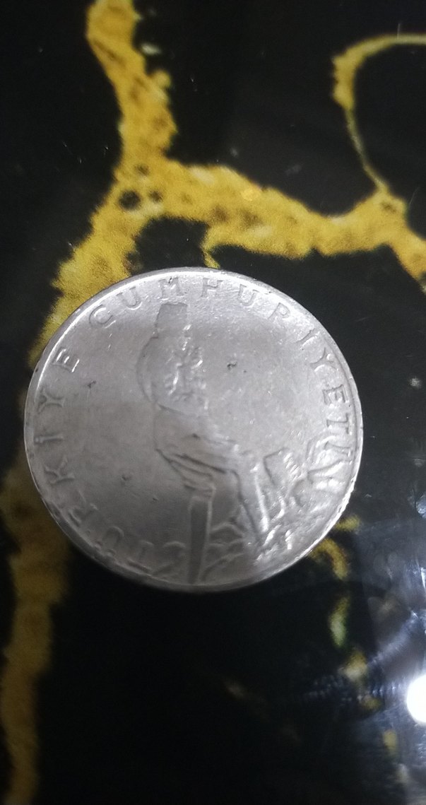 1964 Gri Vintage Erkek Rozeti - Görsel 2