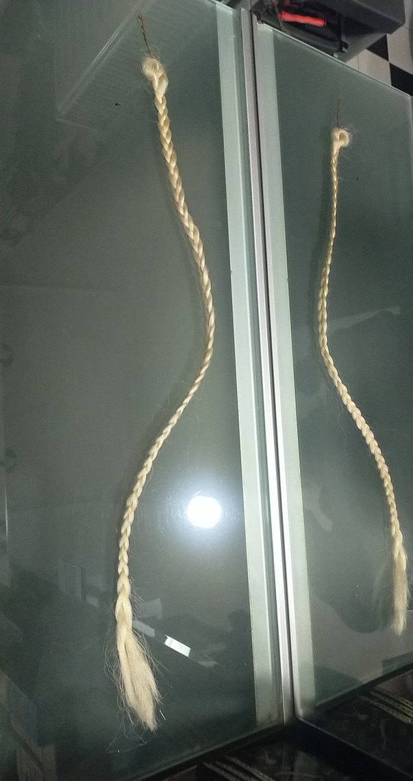 Mavi Saç Aksesuarı Püsküllü Avate çıt çıt boncuk kaynak  sac - Görsel 2