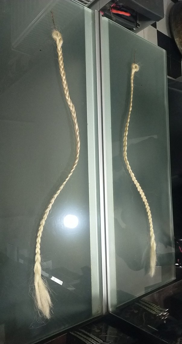 Mavi Saç Aksesuarı Püsküllü Avate çıt çıt boncuk kaynak  sac - Görsel 3