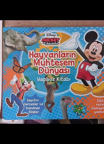 Disney Yapboz Kitabı