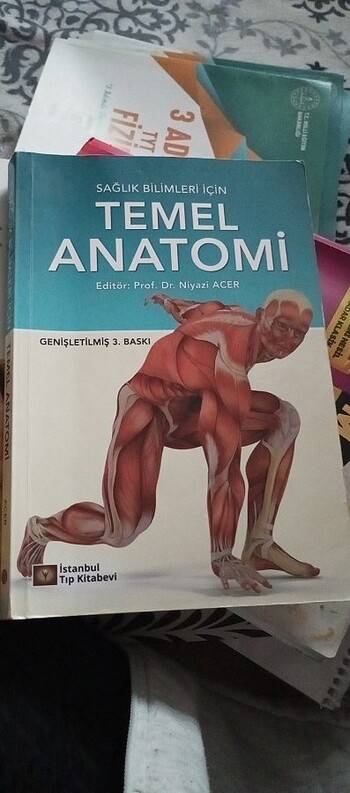 Temel Anatomi
