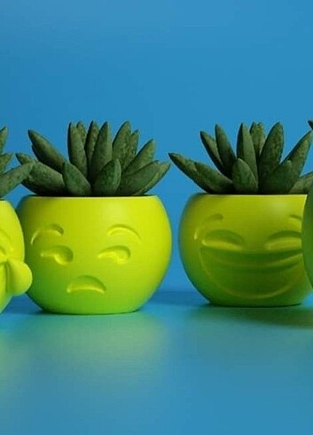 Emoji saksı 