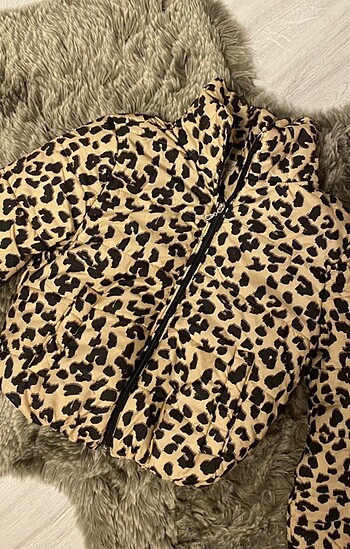 Leopar mont