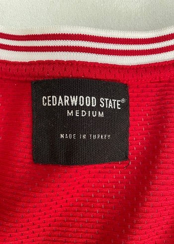 basketbol forması - Görsel 5