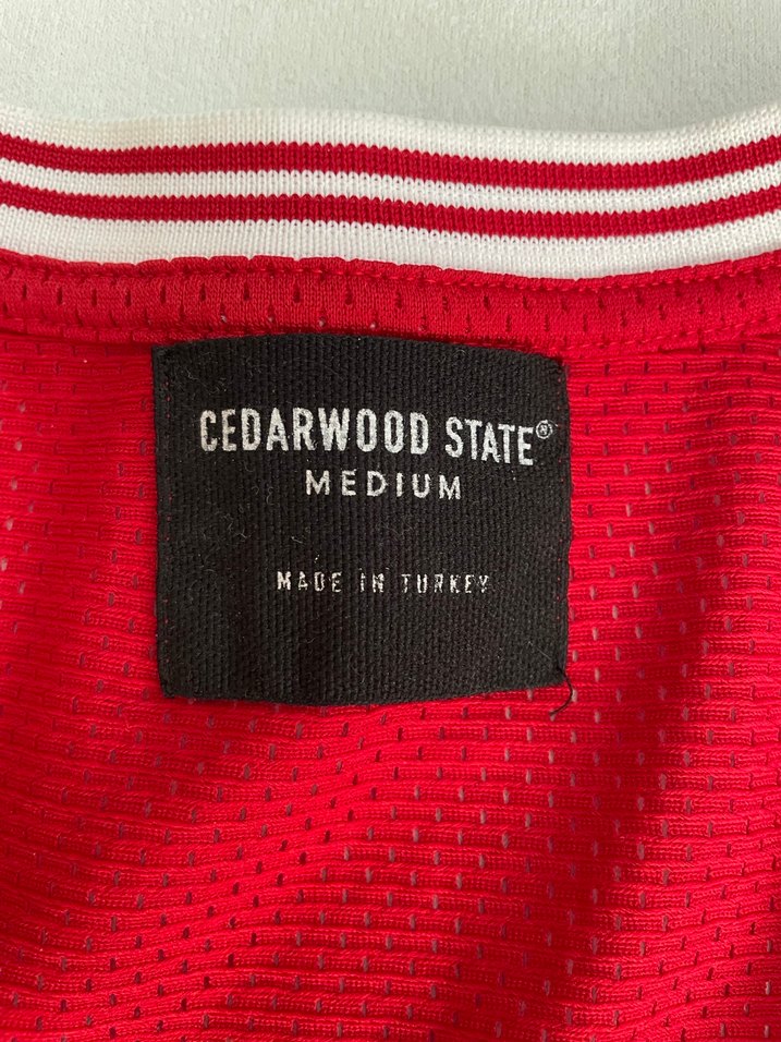 basketbol forması - Görsel 5