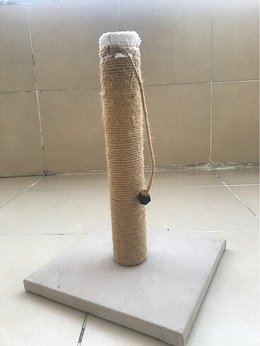 Kedi tırmalama tahtası