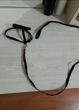 Kedi göğüs tasması yeni