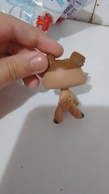 LPS collie köpek Miniş