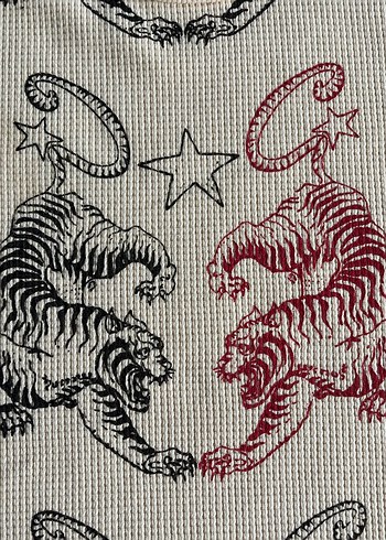 Corteiz Twin Tigers Waffle Longsleeve Tshirt - Görsel 6