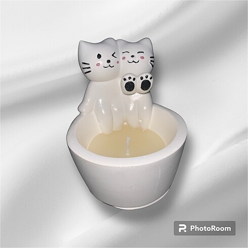 Diğer ÜŞÜYEN KEDİ MUMLUK