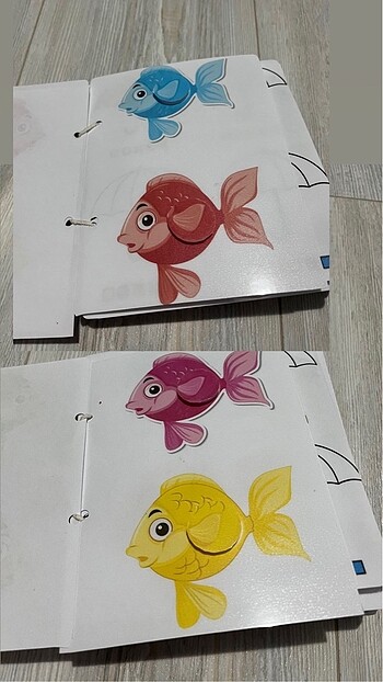 Diğer Renk temalı küçük aktivite kitabı