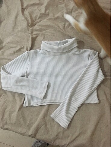 boğazlı crop body
