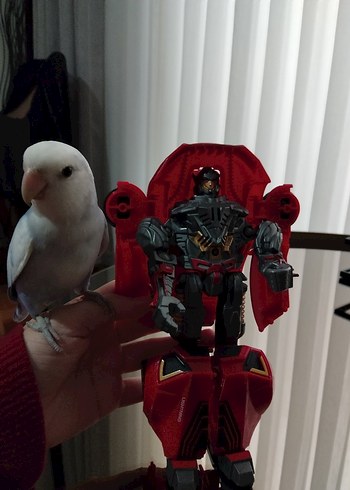 Kırmızı Renkli Oyuncak Araba - Görsel 3