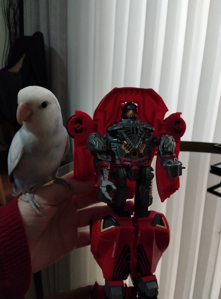 Kırmızı Renkli Oyuncak Araba - Görsel 3