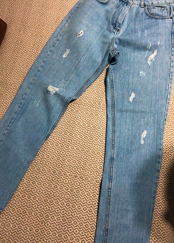 Kot pantalon