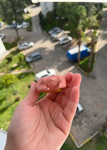 Friends Hindi buzdolabı magneti - Görsel 6