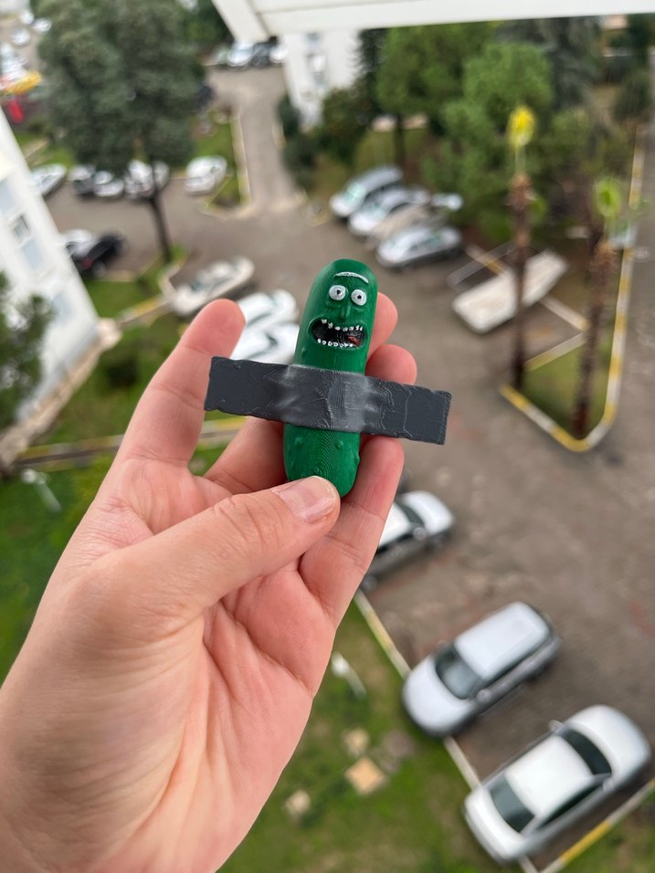 Rick and morty - pickle magneti - Görsel 2