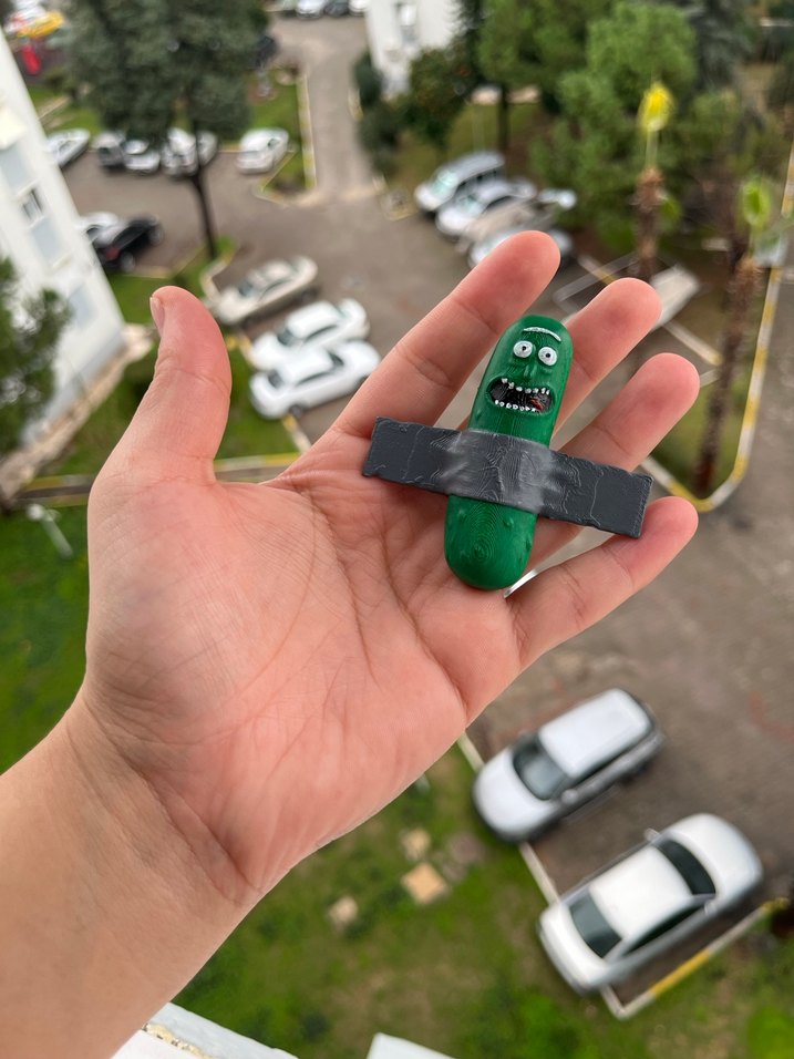 Rick and morty - pickle magneti - Görsel 5