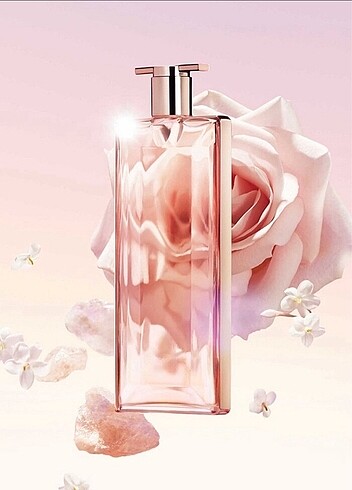 Lancome İdole Narciso Rodriguez For Her Edt Prada Paradoxe 10 ar